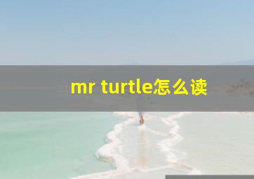 mr turtle怎么读